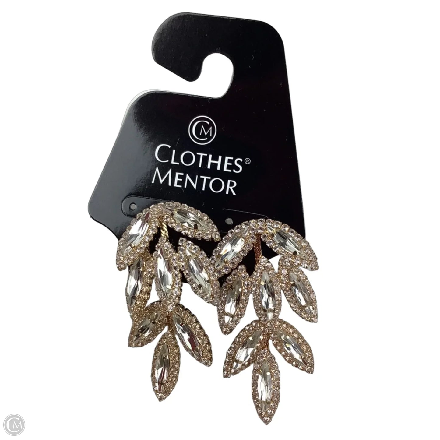 Earrings Dangle/drop By Clothes Mentor