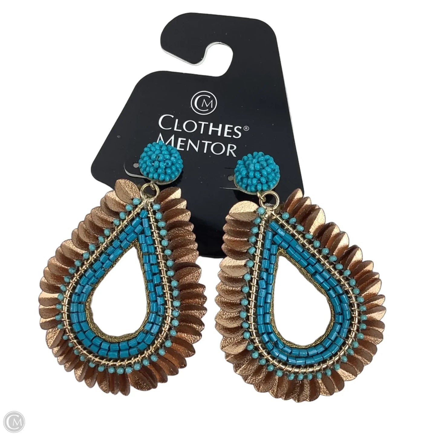 Earrings Dangle/drop By Clothes Mentor