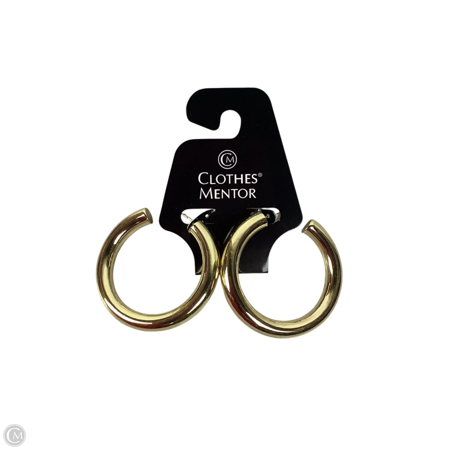 Earrings Hoop By Clothes Mentor