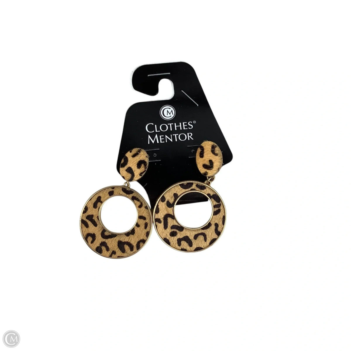 Earrings Dangle/drop By Clothes Mentor
