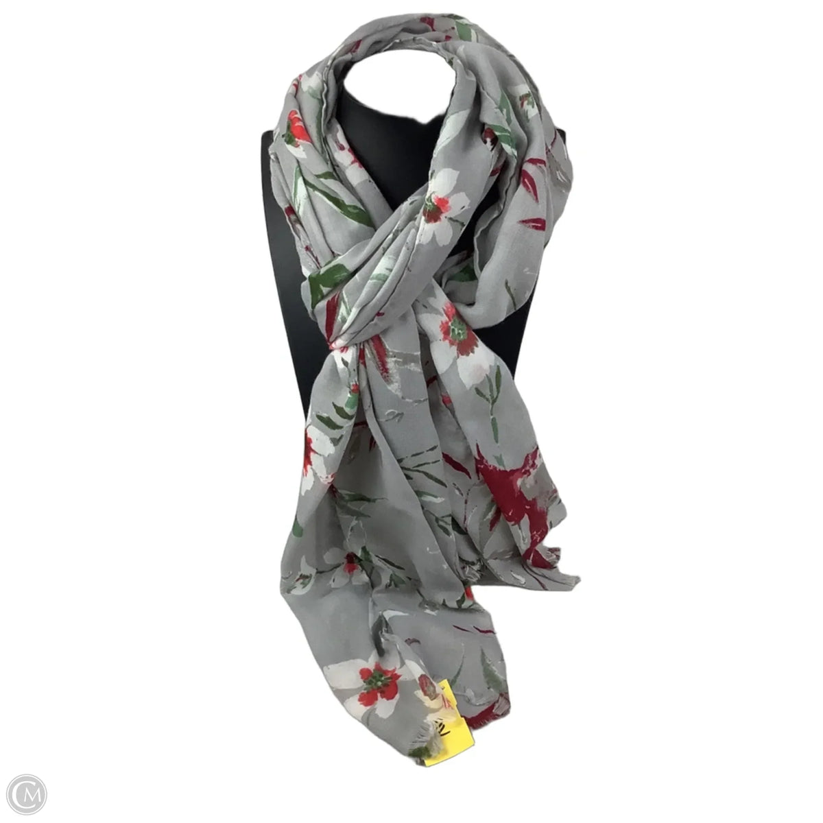 Scarf Long By Clothes Mentor