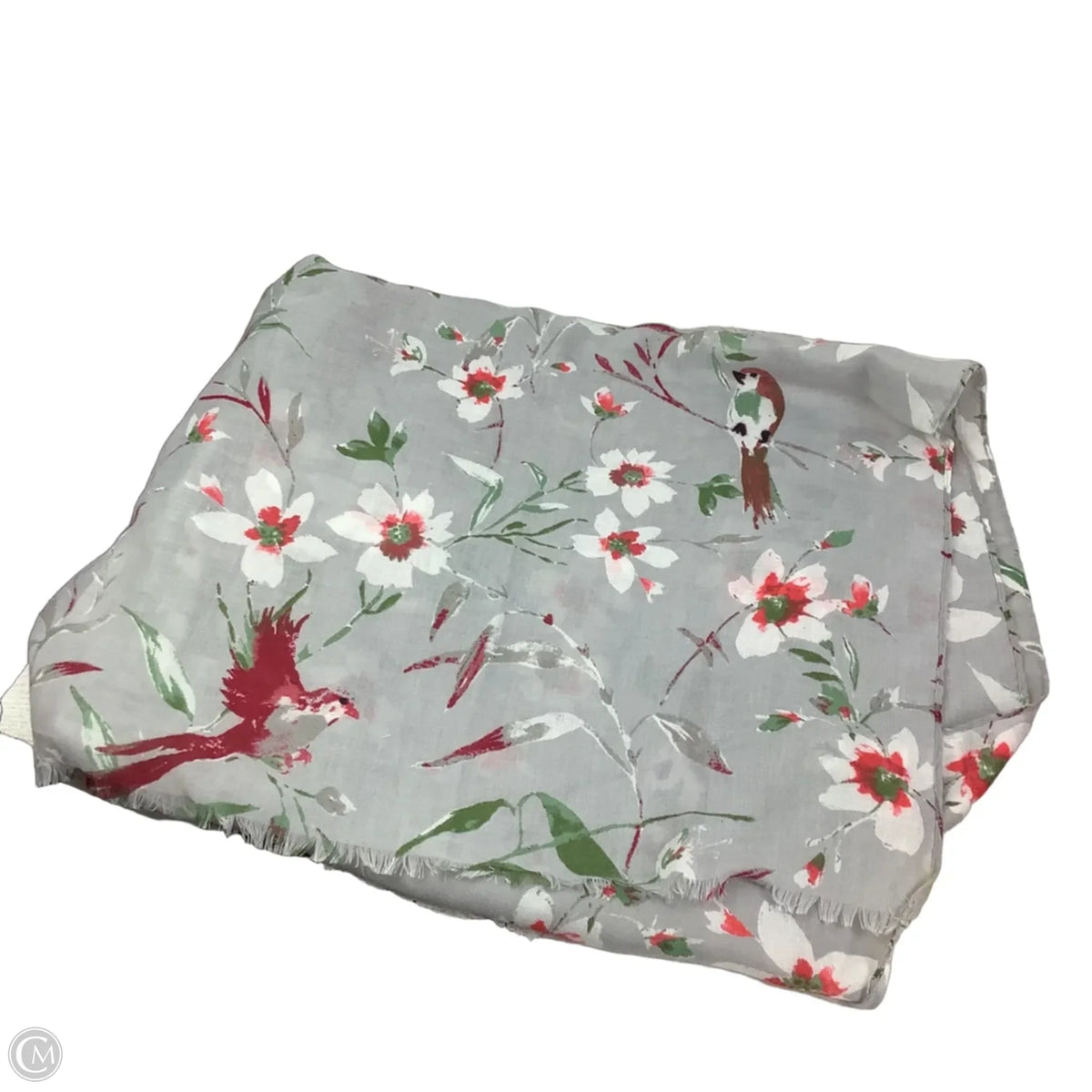 Scarf Long By Clothes Mentor