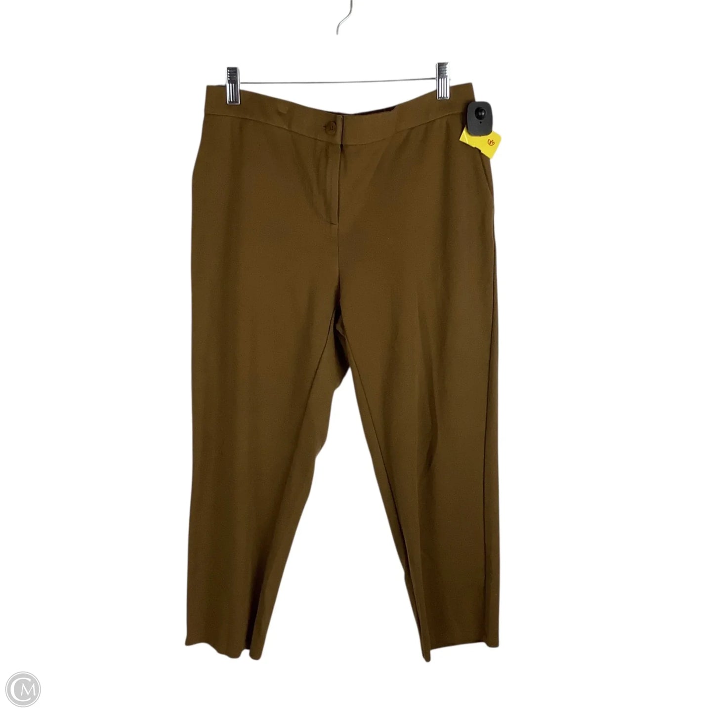 Pants Other By Eileen Fisher In Brown, Size: M