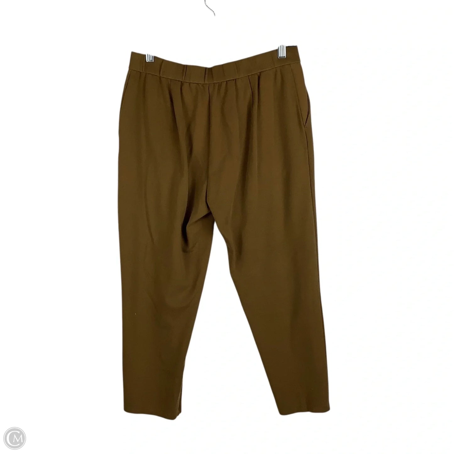 Pants Other By Eileen Fisher In Brown, Size: M