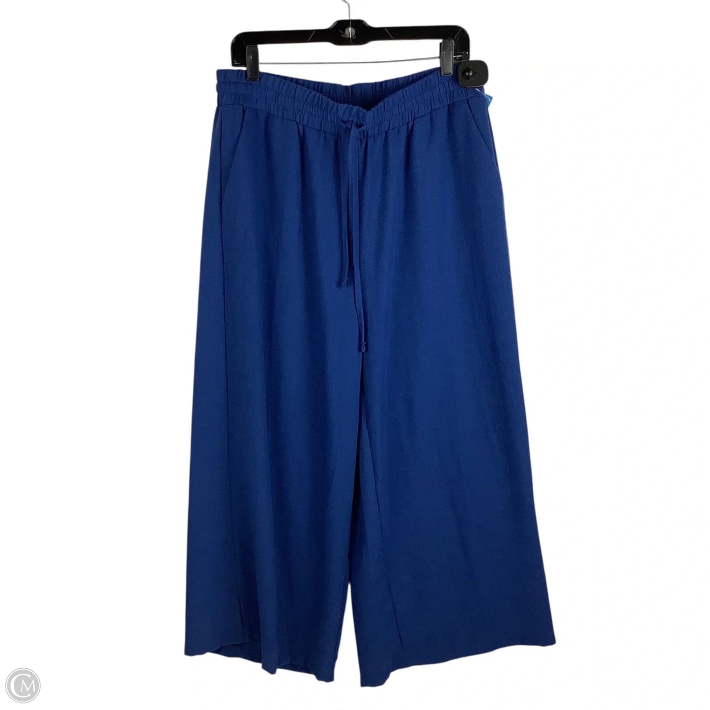 Pants Other By Zenana In Blue, Size: 1x