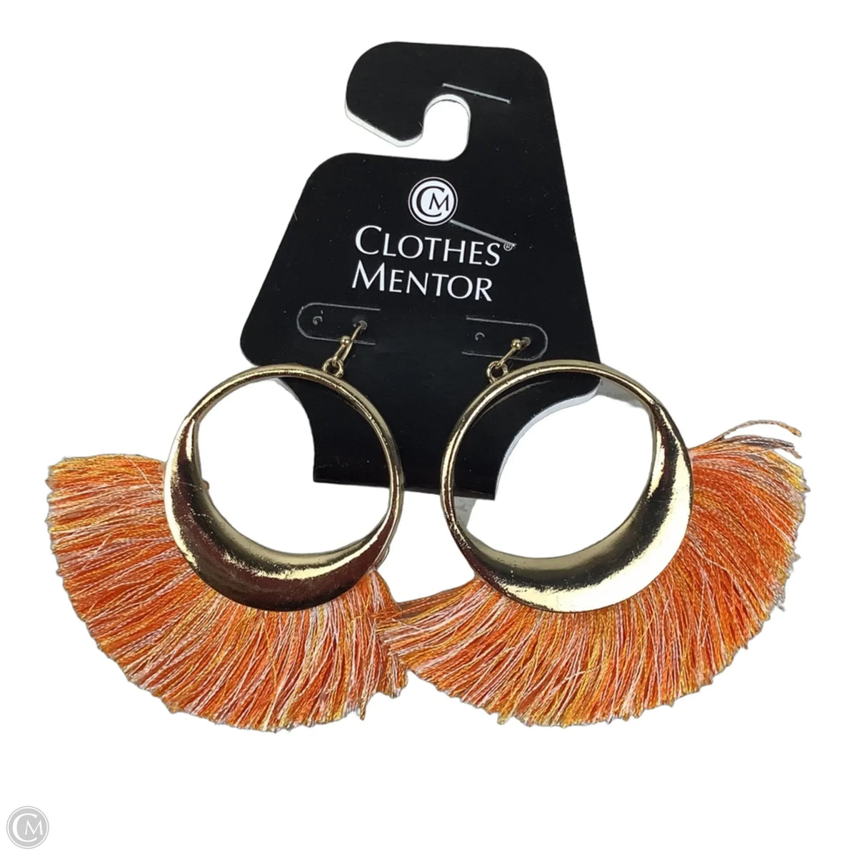 Earrings Dangle/drop By Clothes Mentor