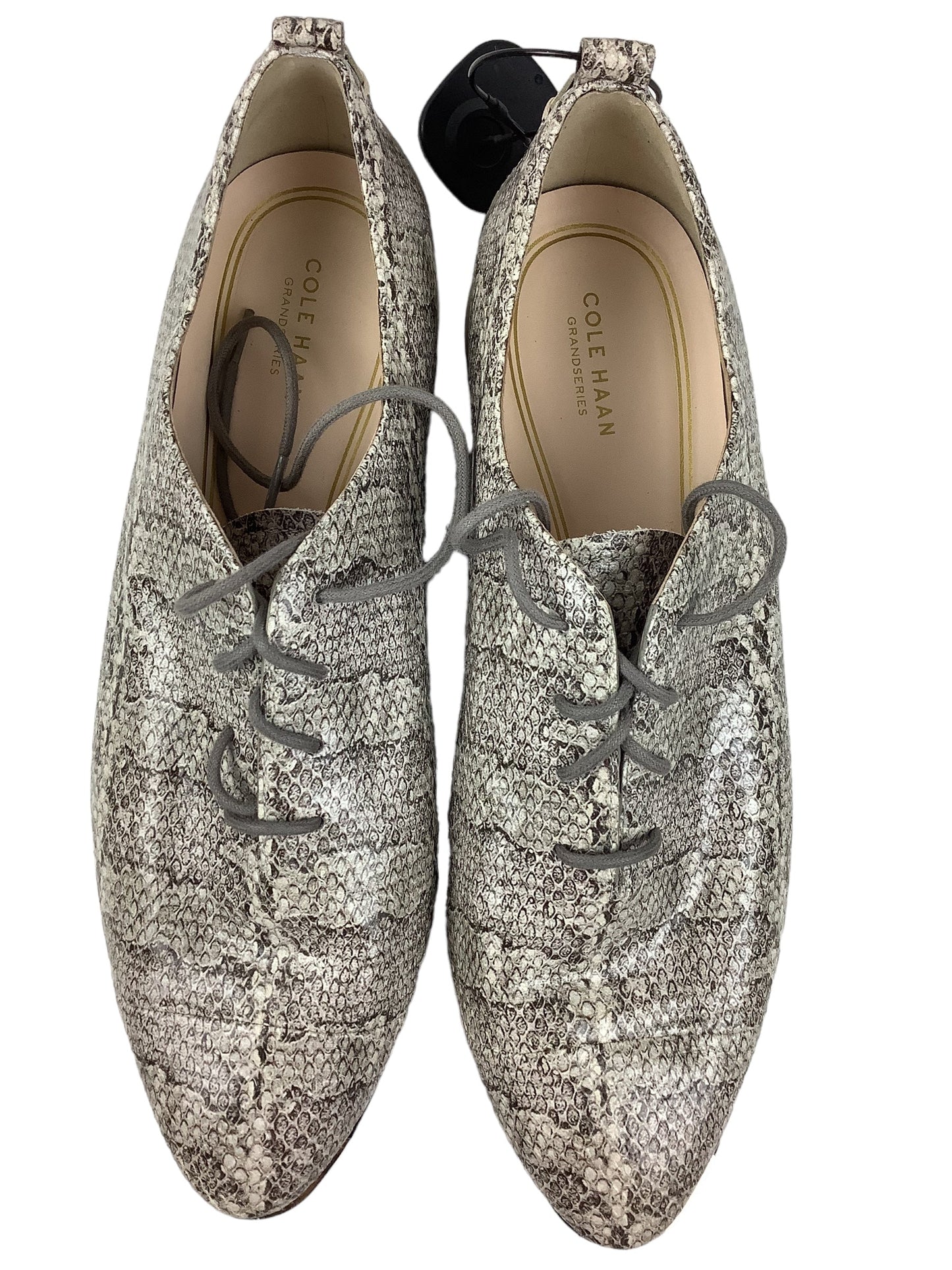 Snakeskin Print Shoes Designer Cole-haan, Size 11