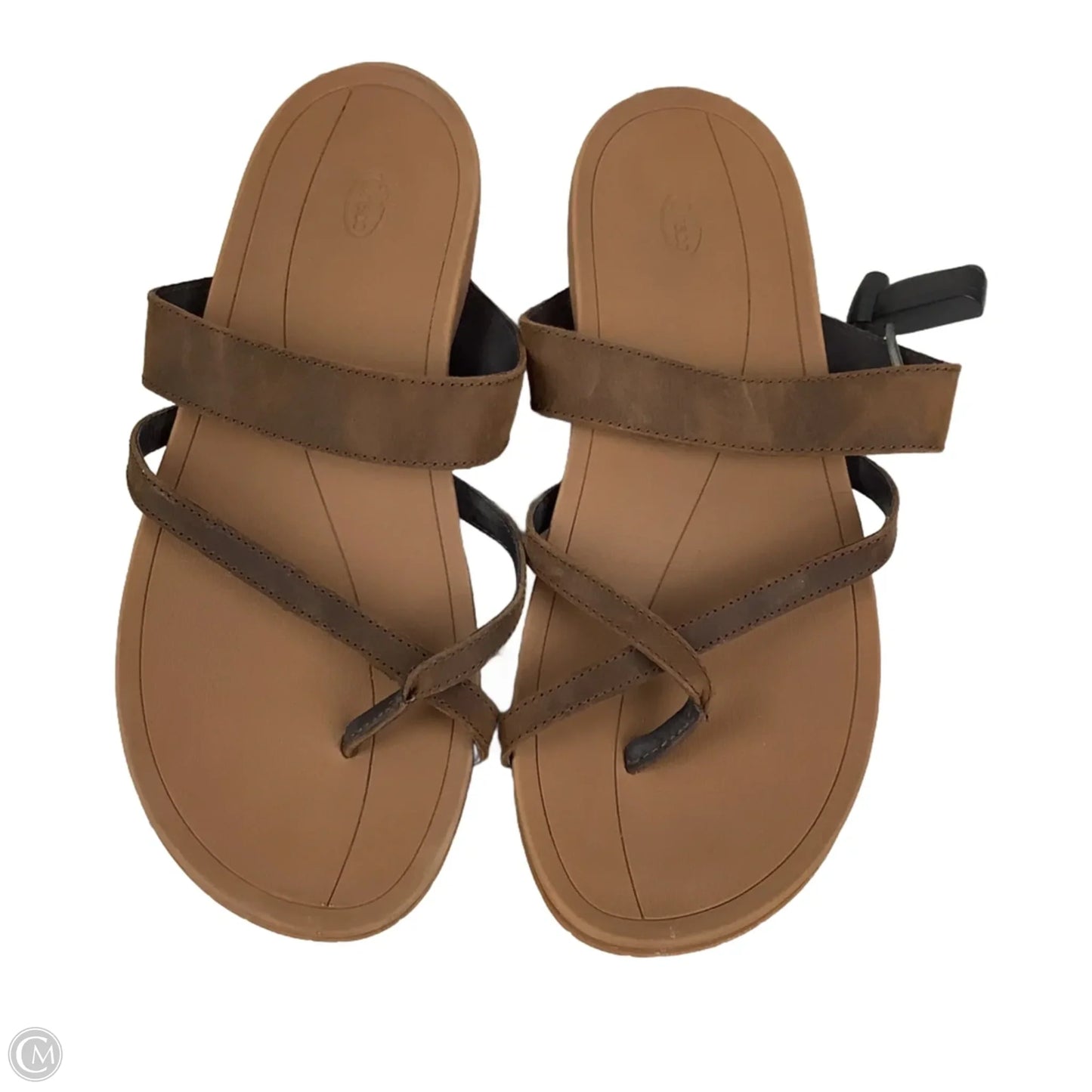 Sandals Flip Flops By Chacos In Brown, Size: 10
