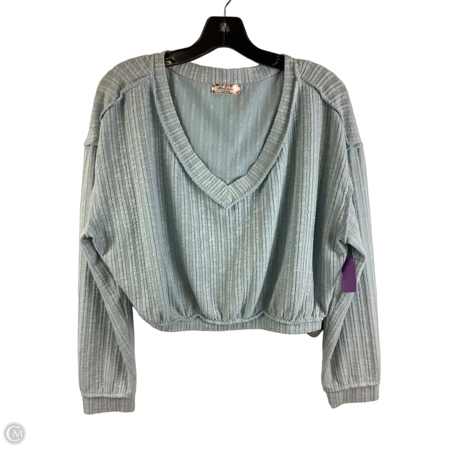 Top Long Sleeve By Altard State In Blue, Size: L