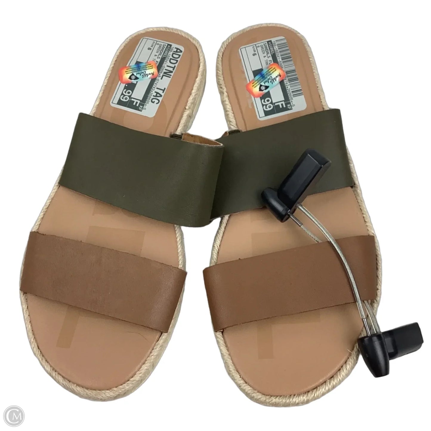 Sandals Flats By Sorel In Green & Tan, Size: 6