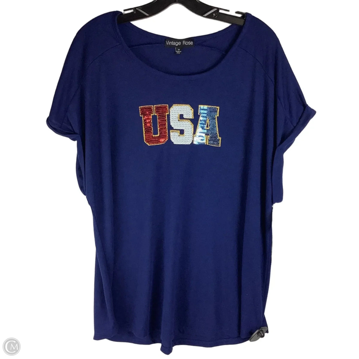 Top Short Sleeve By Clothes Mentor In Blue, Size: 2x