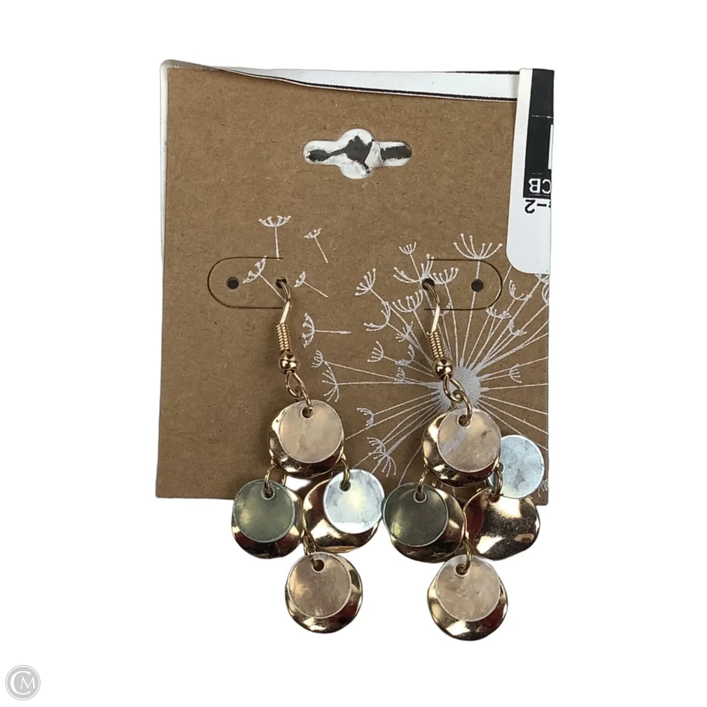 Earrings Dangle/drop By Clothes Mentor