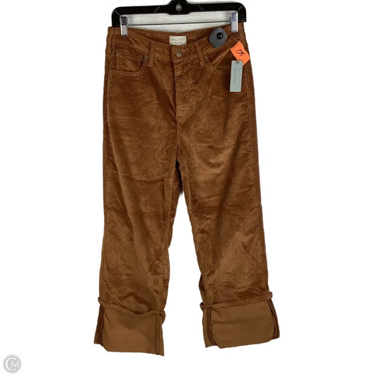 Pants Corduroy By Pilcro In Brown, Size: 6 PETITE