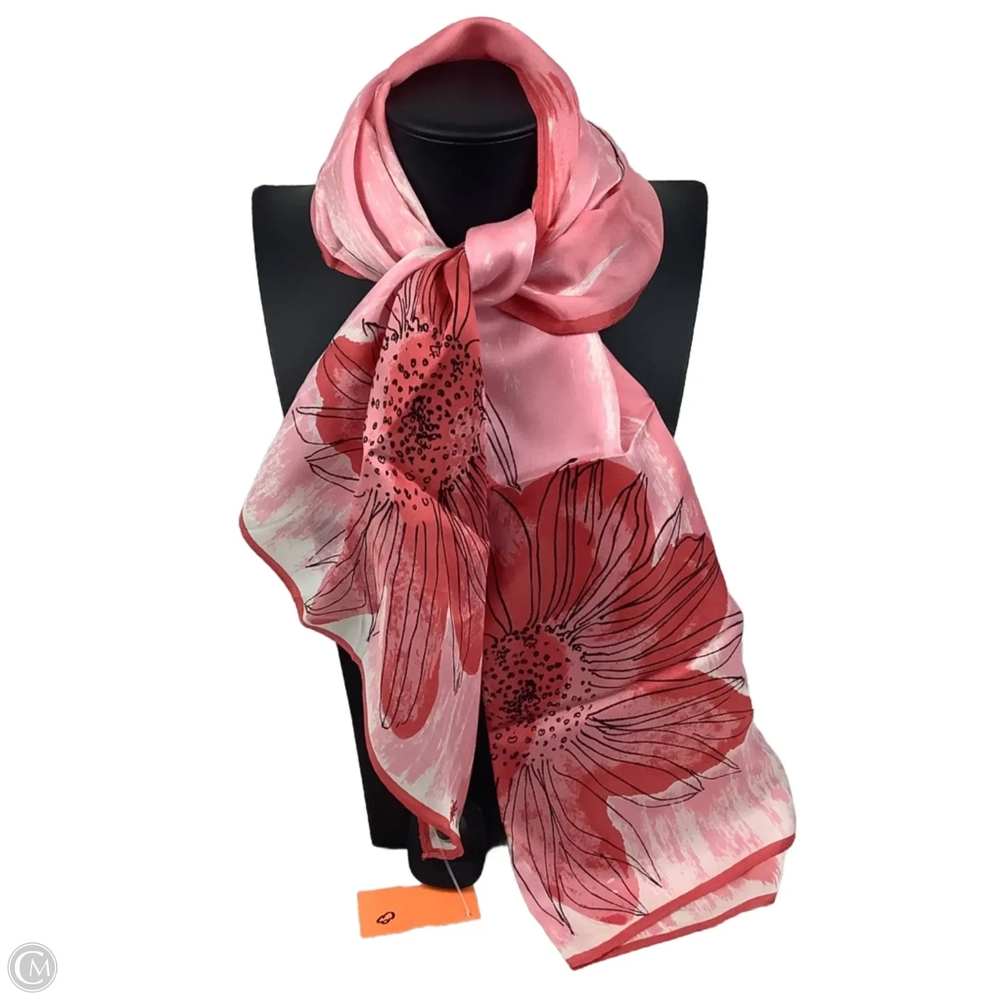 Scarf Long By Clothes Mentor