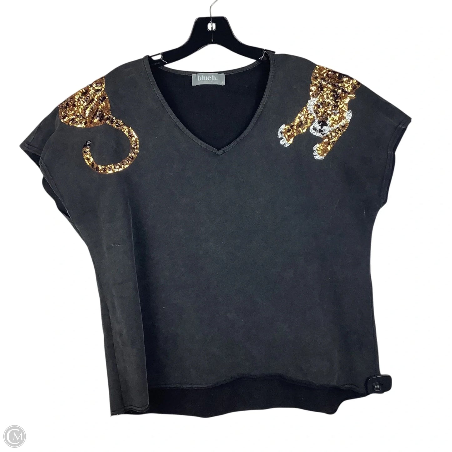 Top Short Sleeve By Blue B In Grey, Size: M