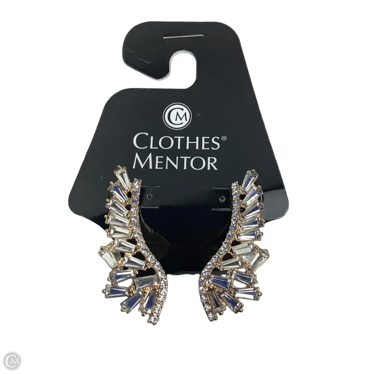 Earrings Dangle/drop By Clothes Mentor