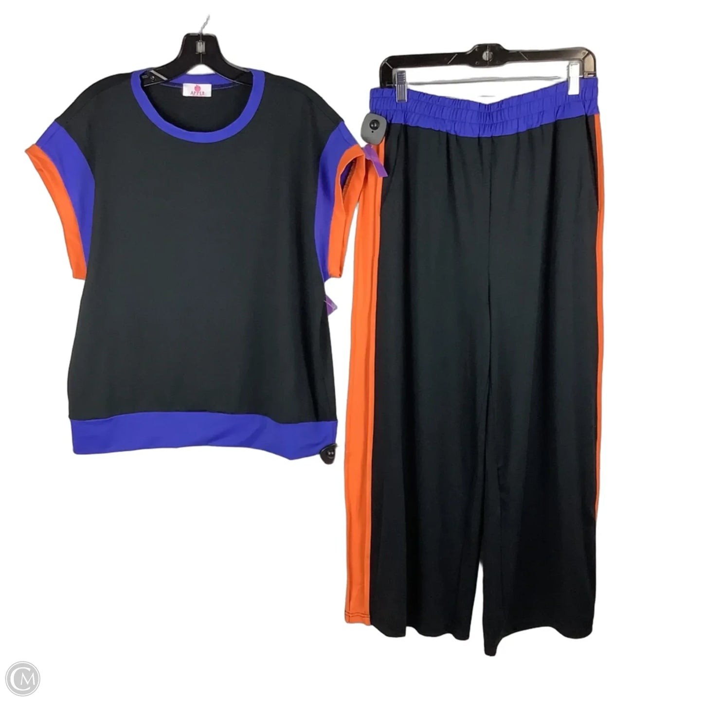 Pants Set 2pc By Clothes Mentor In Black, Size: L
