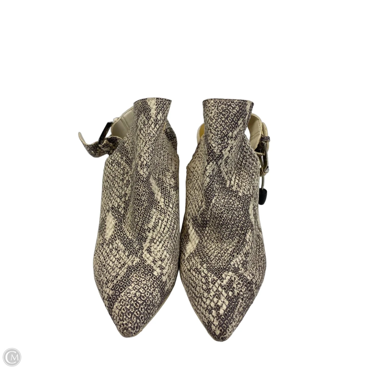 Shoes Heels Block By Dolce Vita In Snakeskin Print, Size: 8.5