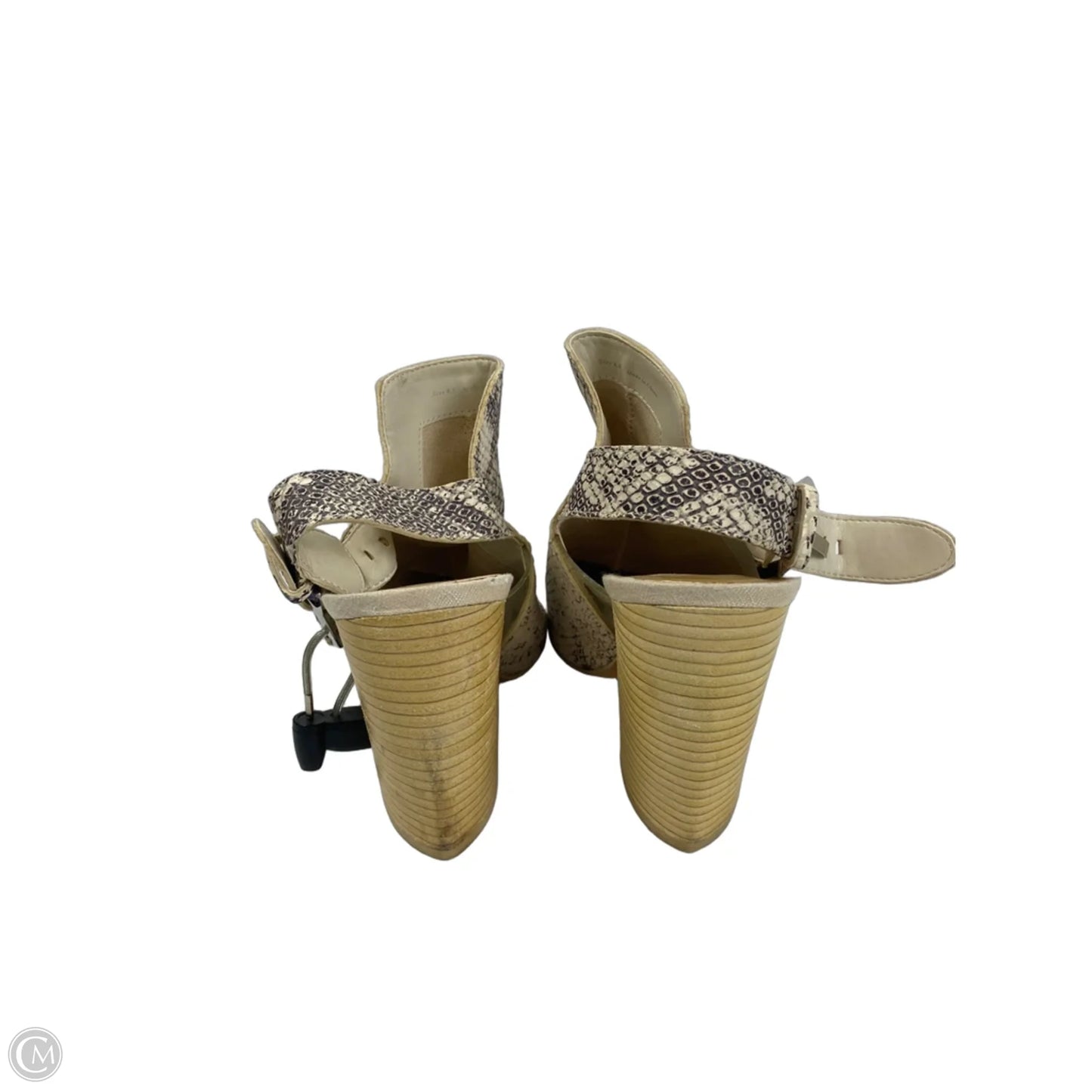Shoes Heels Block By Dolce Vita In Snakeskin Print, Size: 8.5