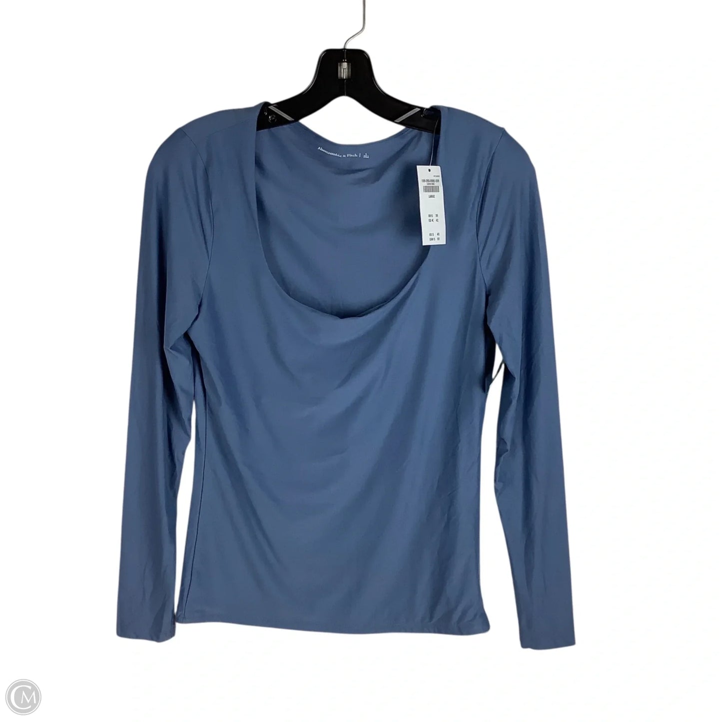 Top Long Sleeve By Abercrombie And Fitch In Blue, Size: L