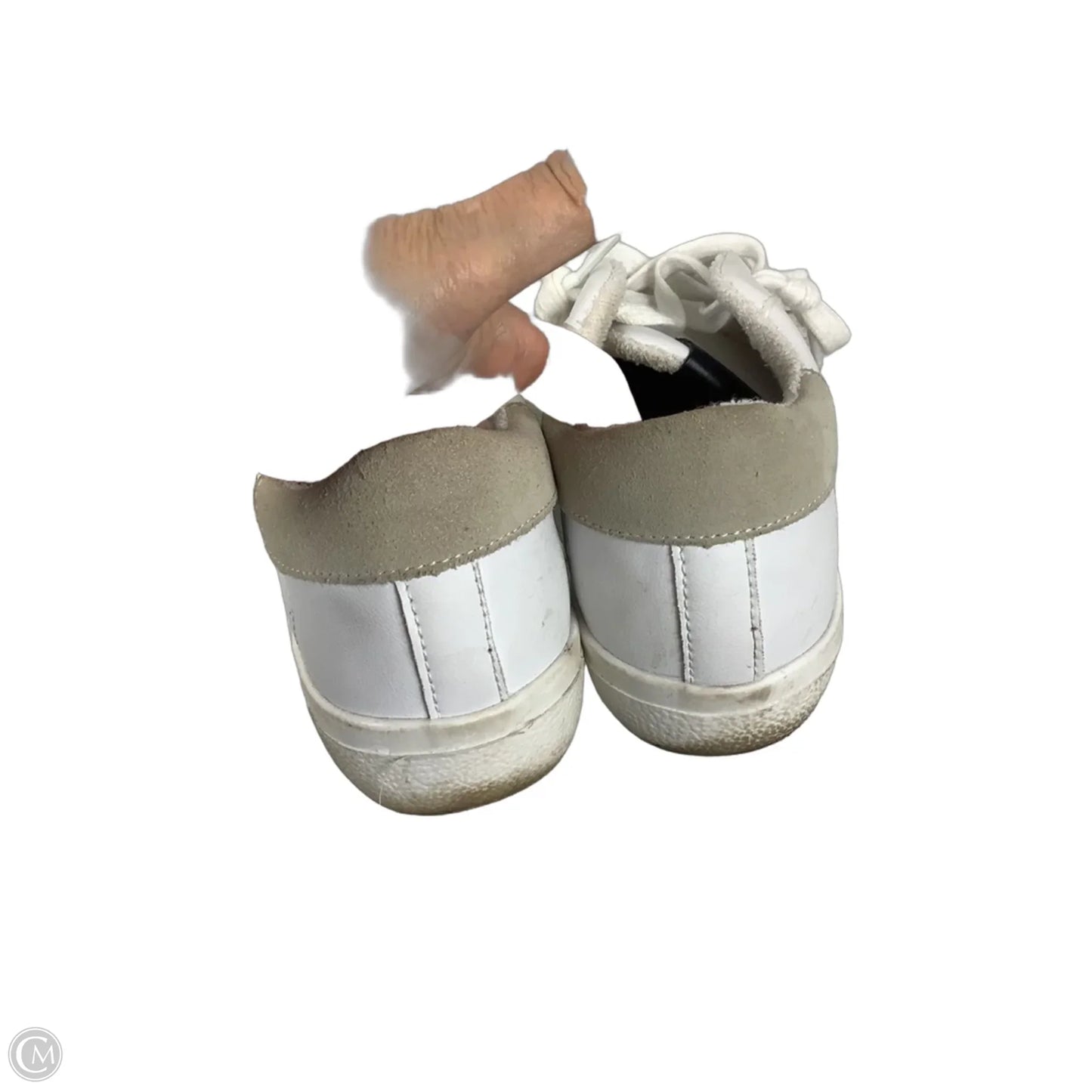 Shoes Sneakers By Steve Madden In White, Size: 8.5