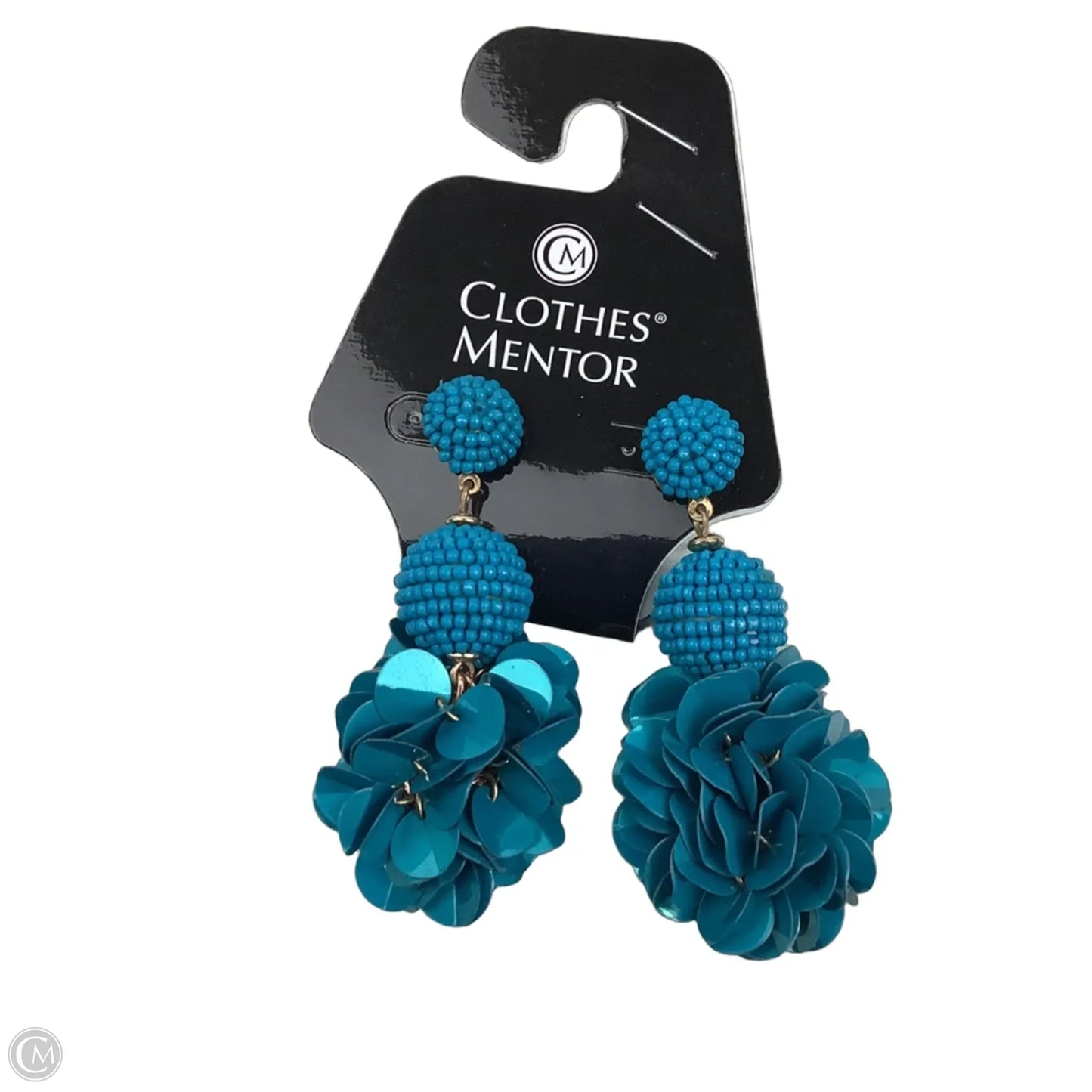 Earrings Dangle/drop By Clothes Mentor