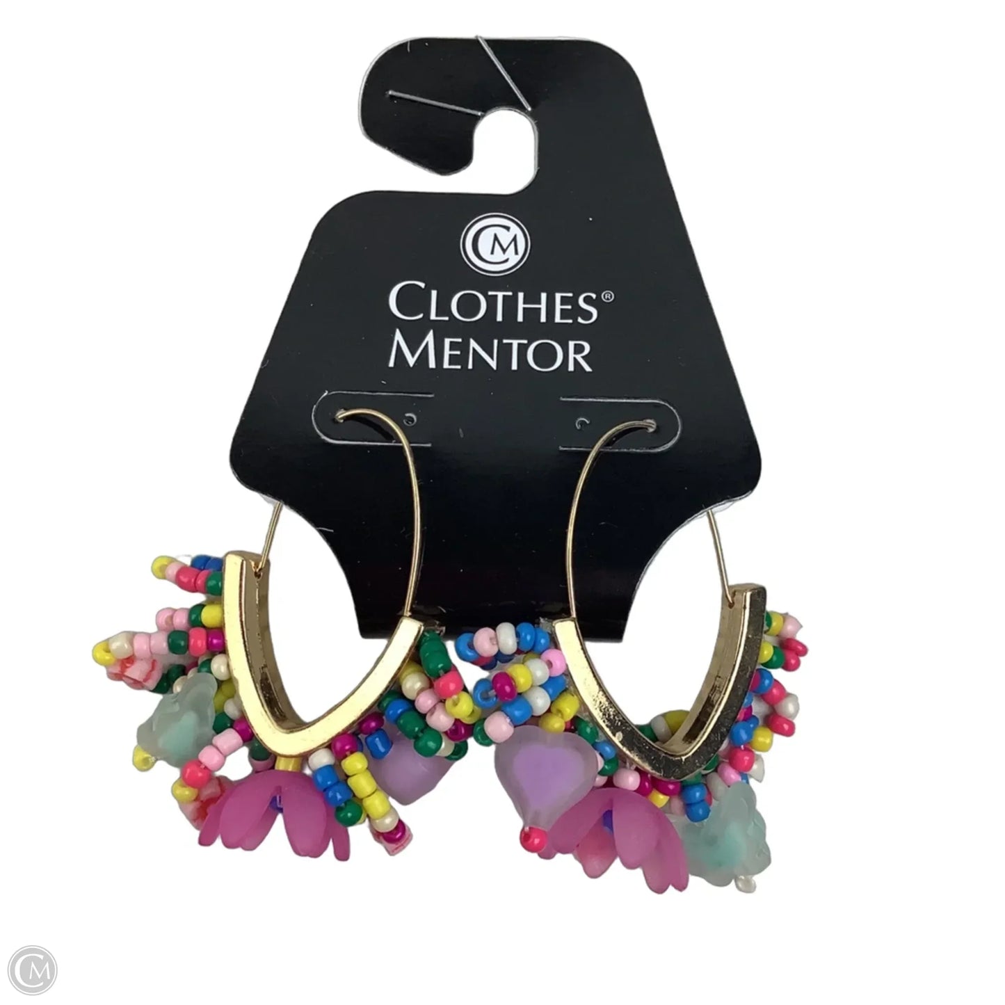 Earrings Dangle/drop By Clothes Mentor