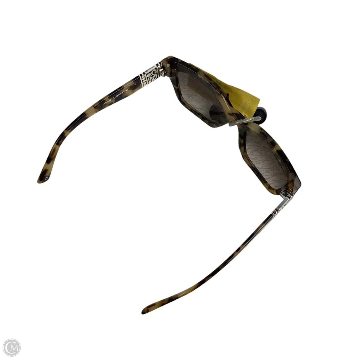 Sunglasses Designer By Brighton