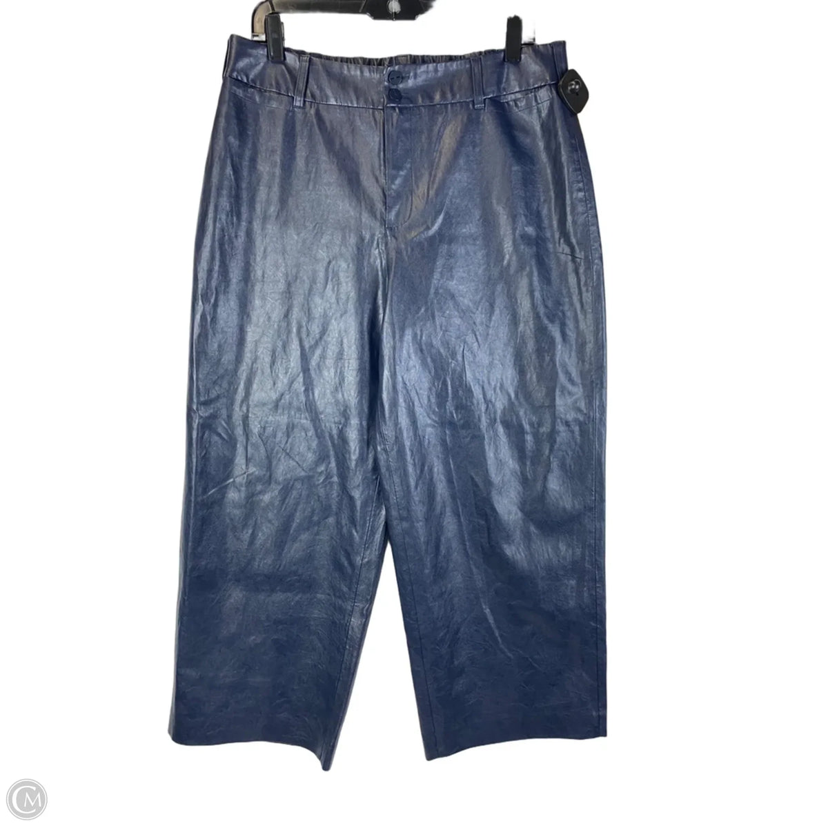 Pants Other By Chicos In Navy, Size: 12