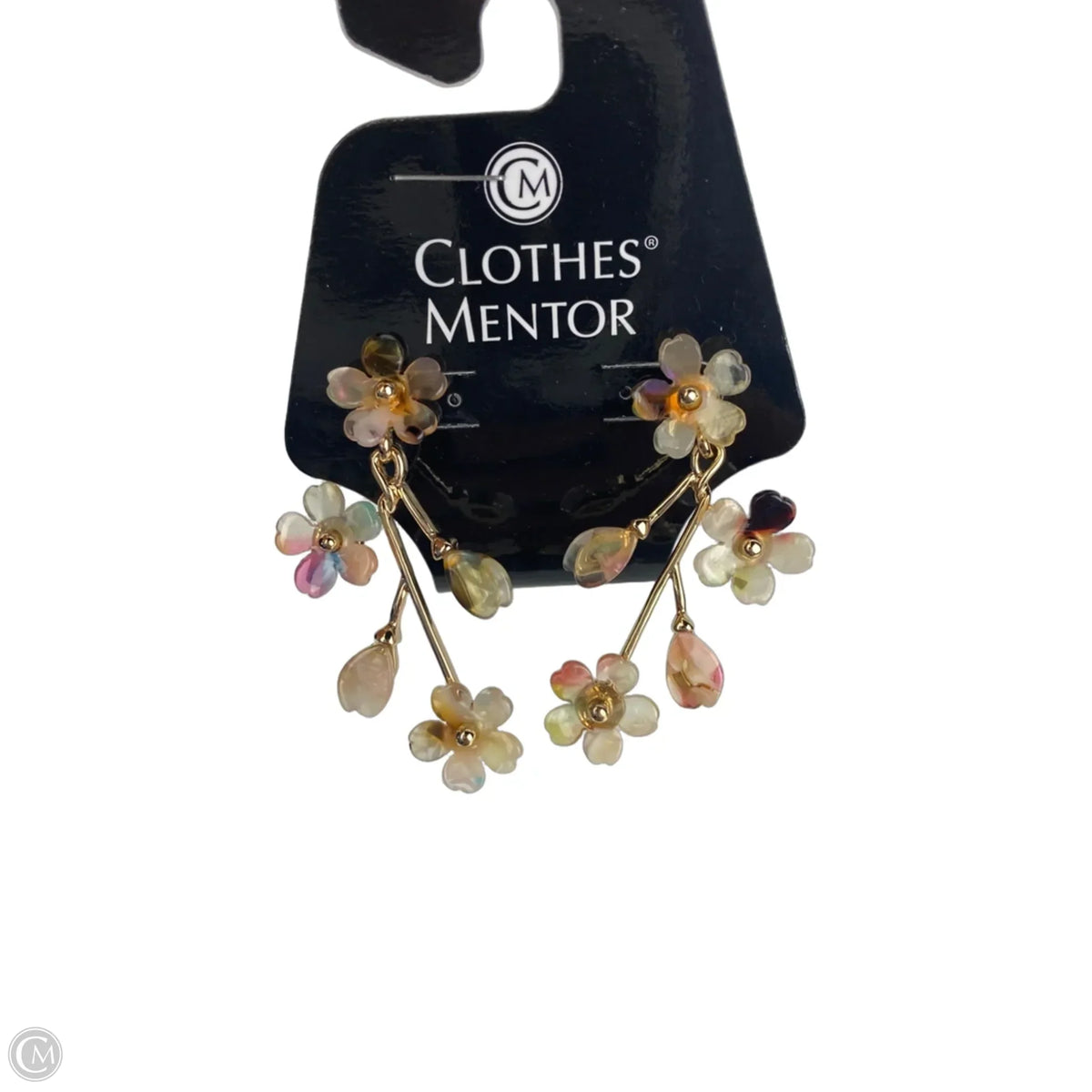 Earrings Dangle/drop By Clothes Mentor