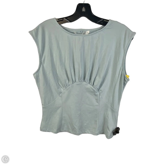 Top Sleeveless By Altard State In Blue, Size: L