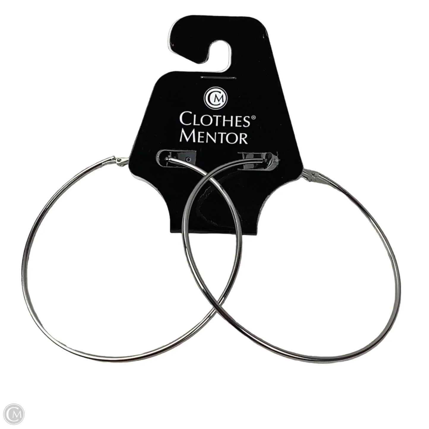 Earrings Hoop By Express