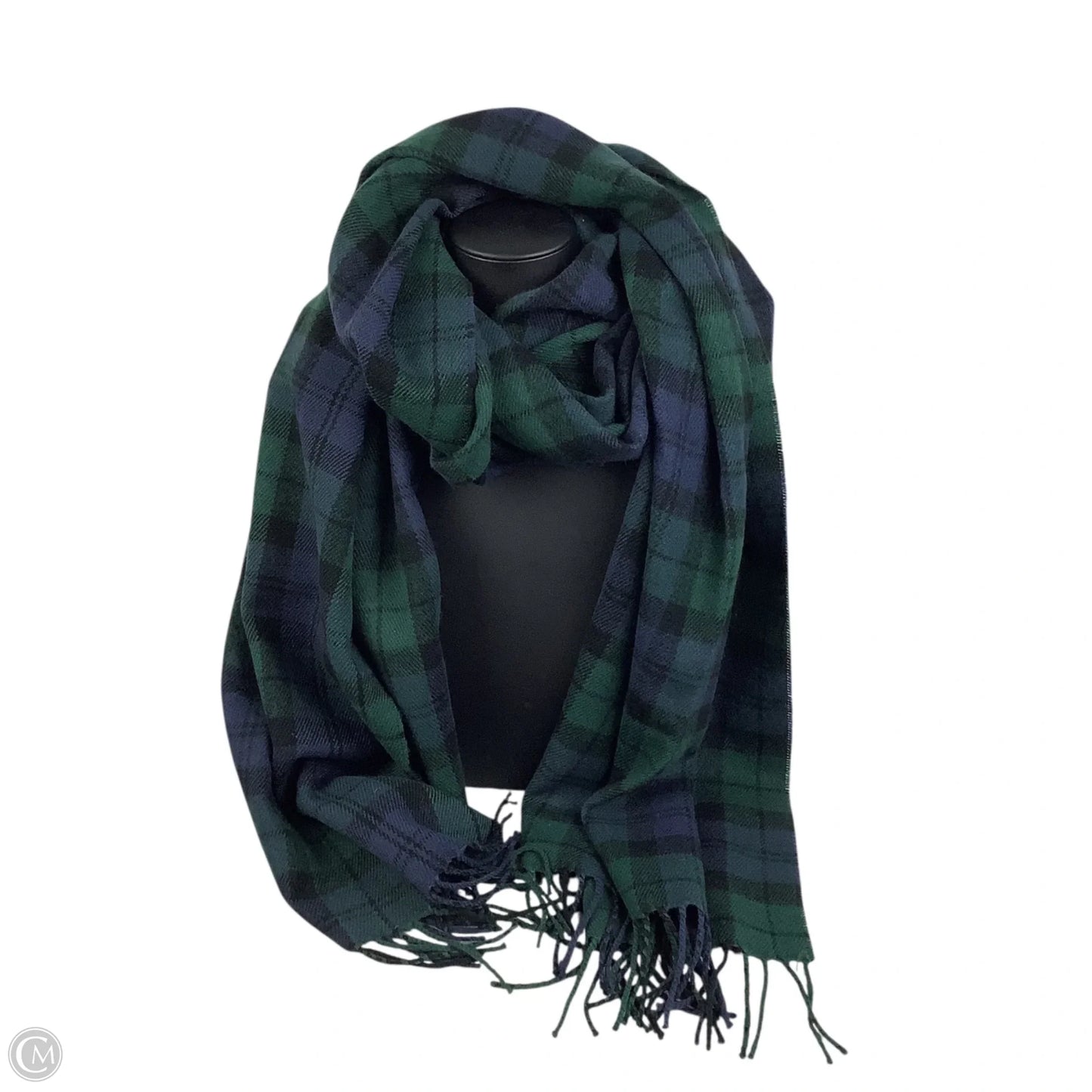 Scarf Long By J Crew