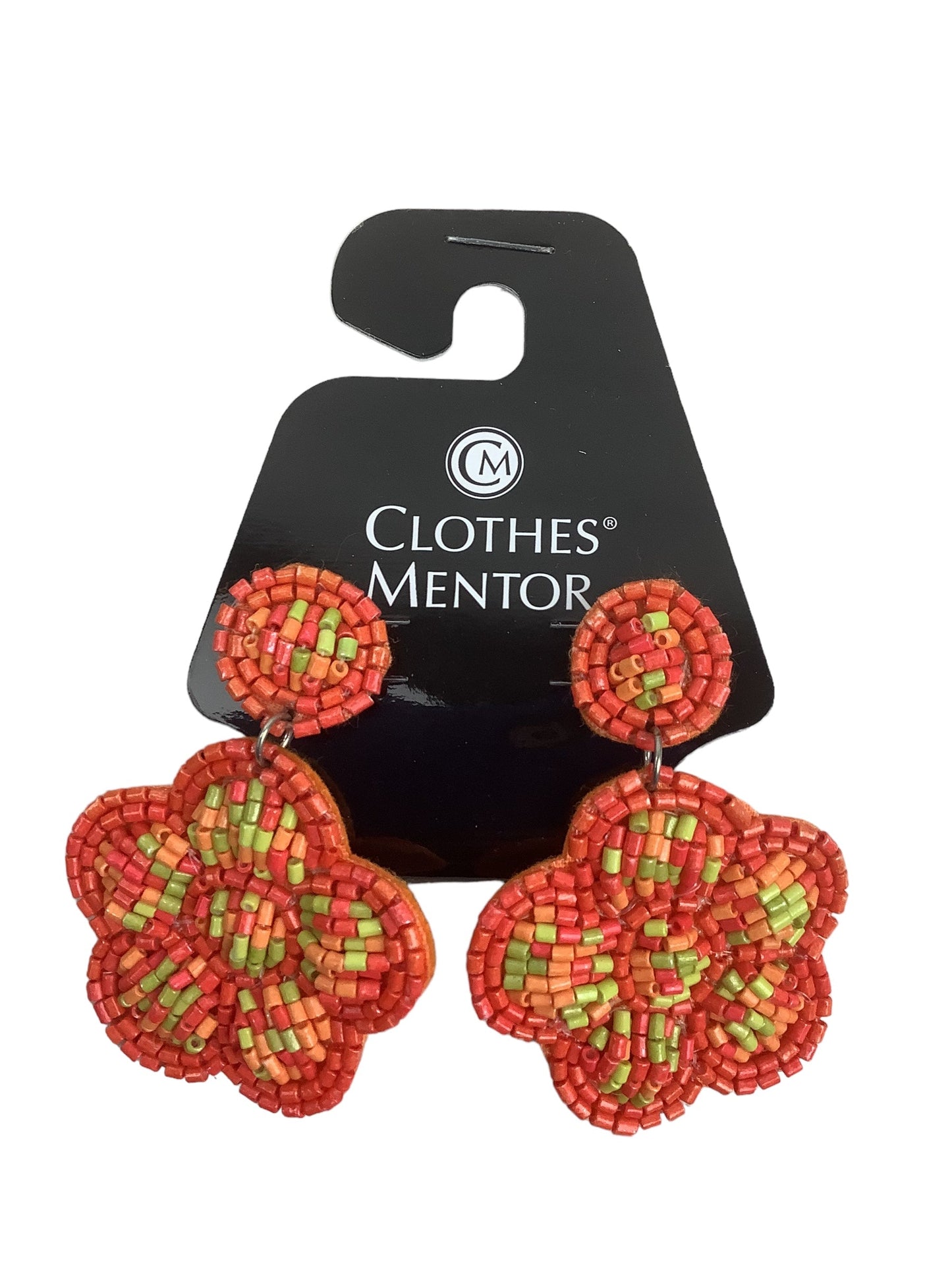 Earrings Other Clothes Mentor