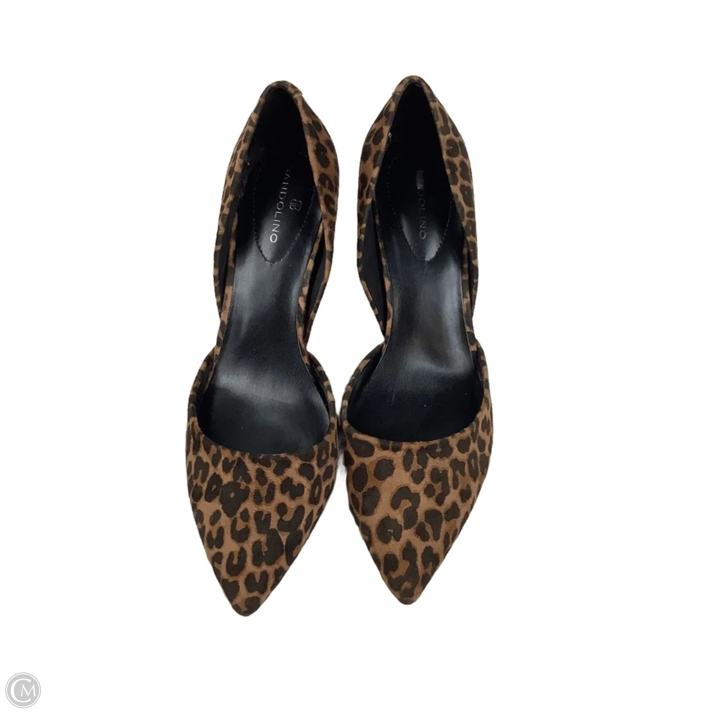 Shoes Heels Kitten By Bandolino In Animal Print, Size: 8
