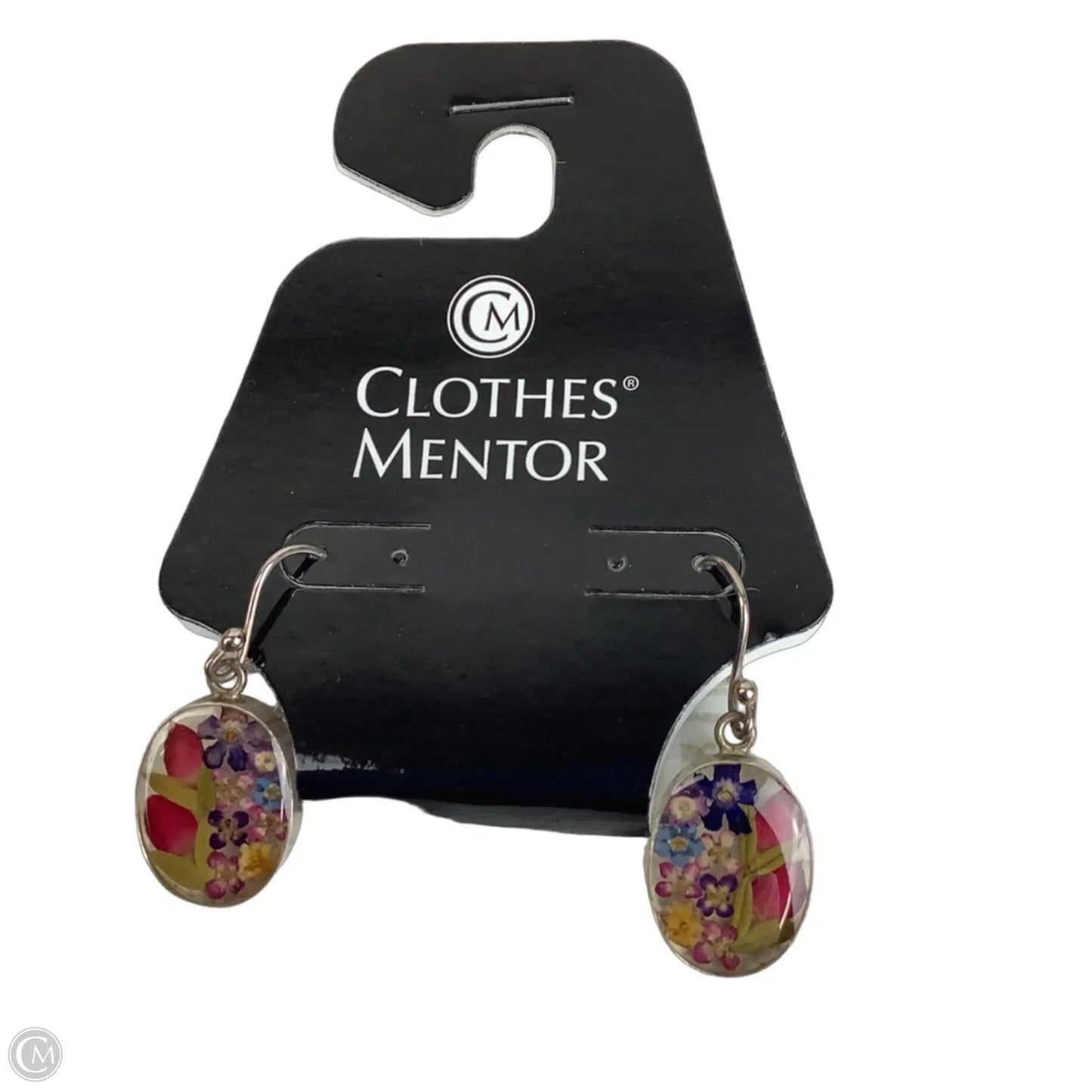 Earrings Dangle/drop By Clothes Mentor