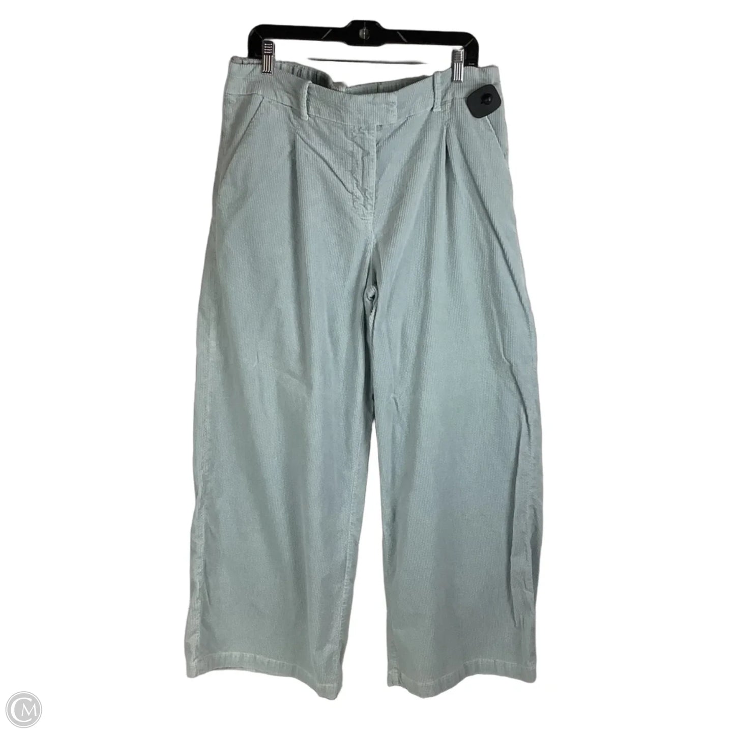 Pants Corduroy By American Eagle In Blue, Size: 14