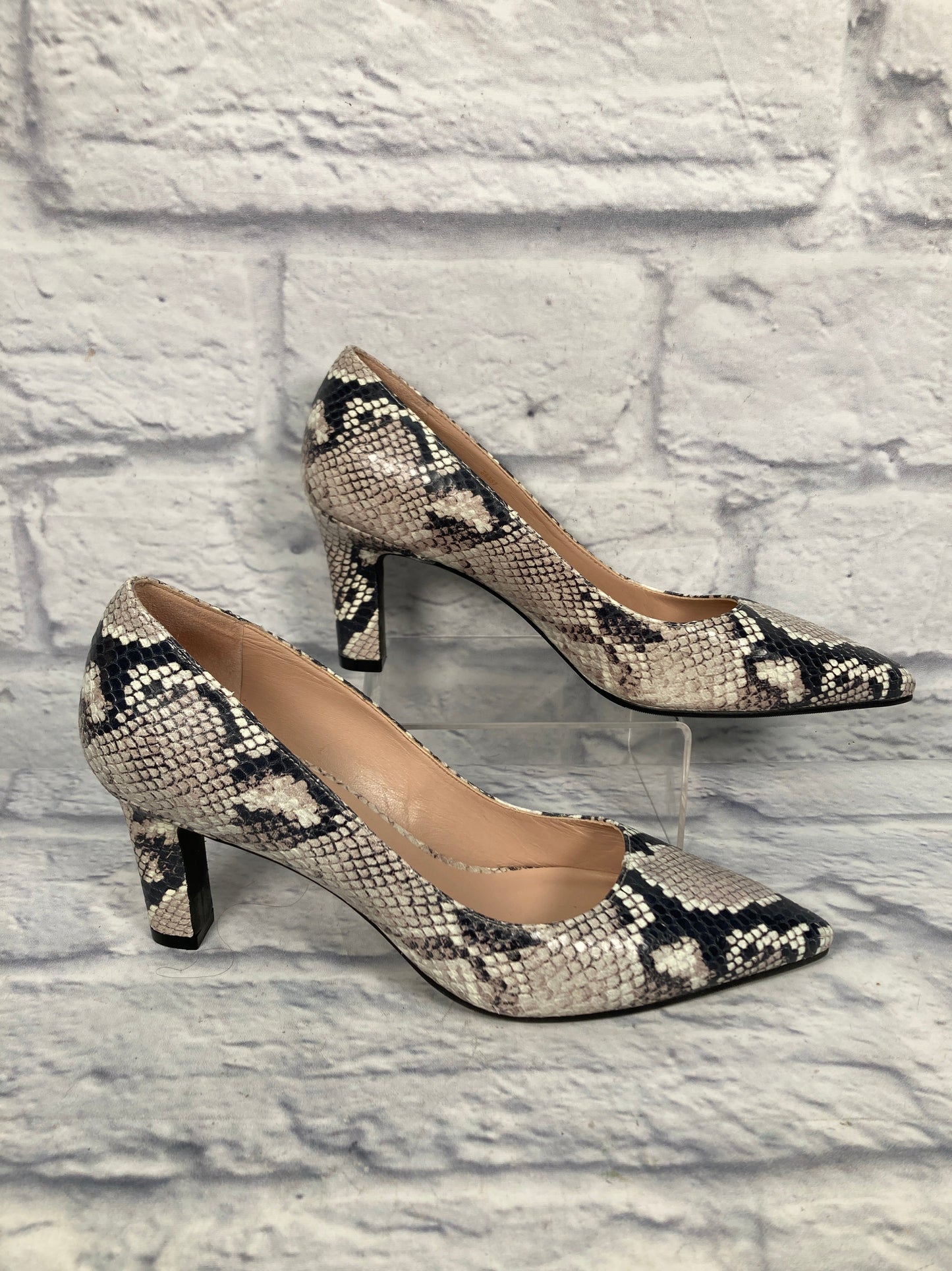 Snakeskin Print Shoes Heels Block Stuart Weitzman, Size 8.5