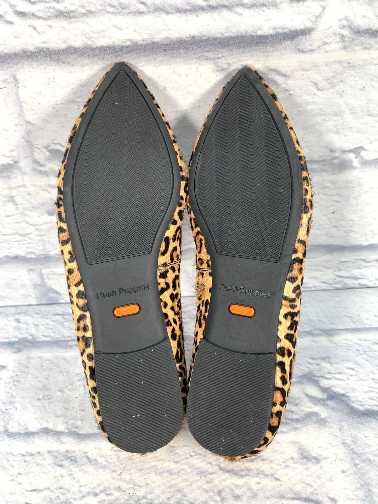 Shoes Flats By Hush Puppies In Animal Print, Size: 9.5