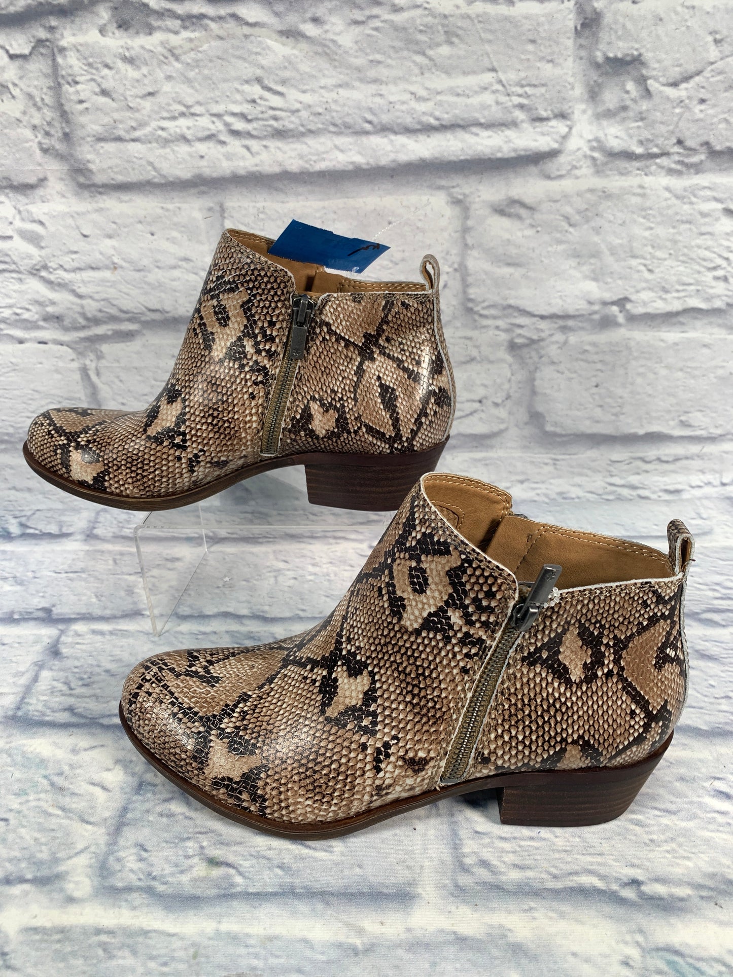 Boots Ankle Heels By Lucky Brand In Snakeskin Print, Size: 8.5