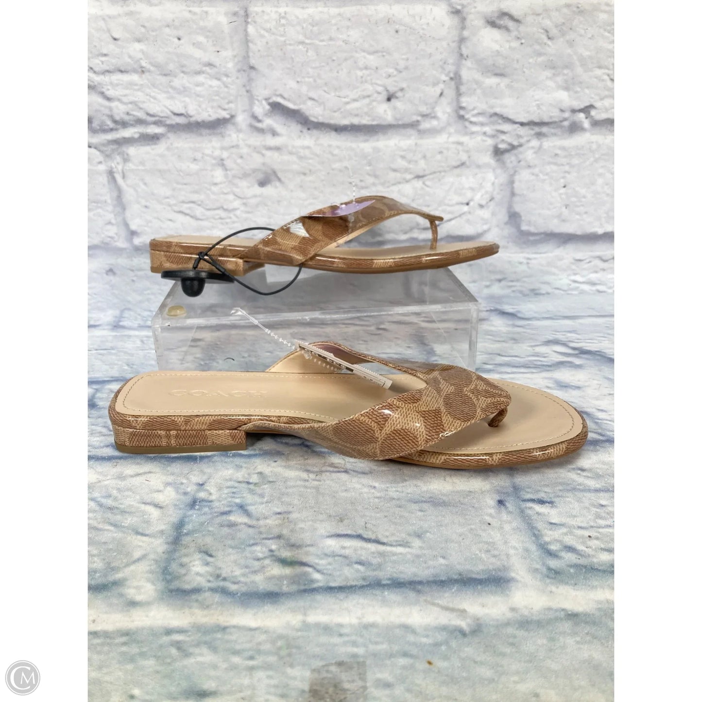 Sandals Designer By Coach In Tan, Size: 8.5