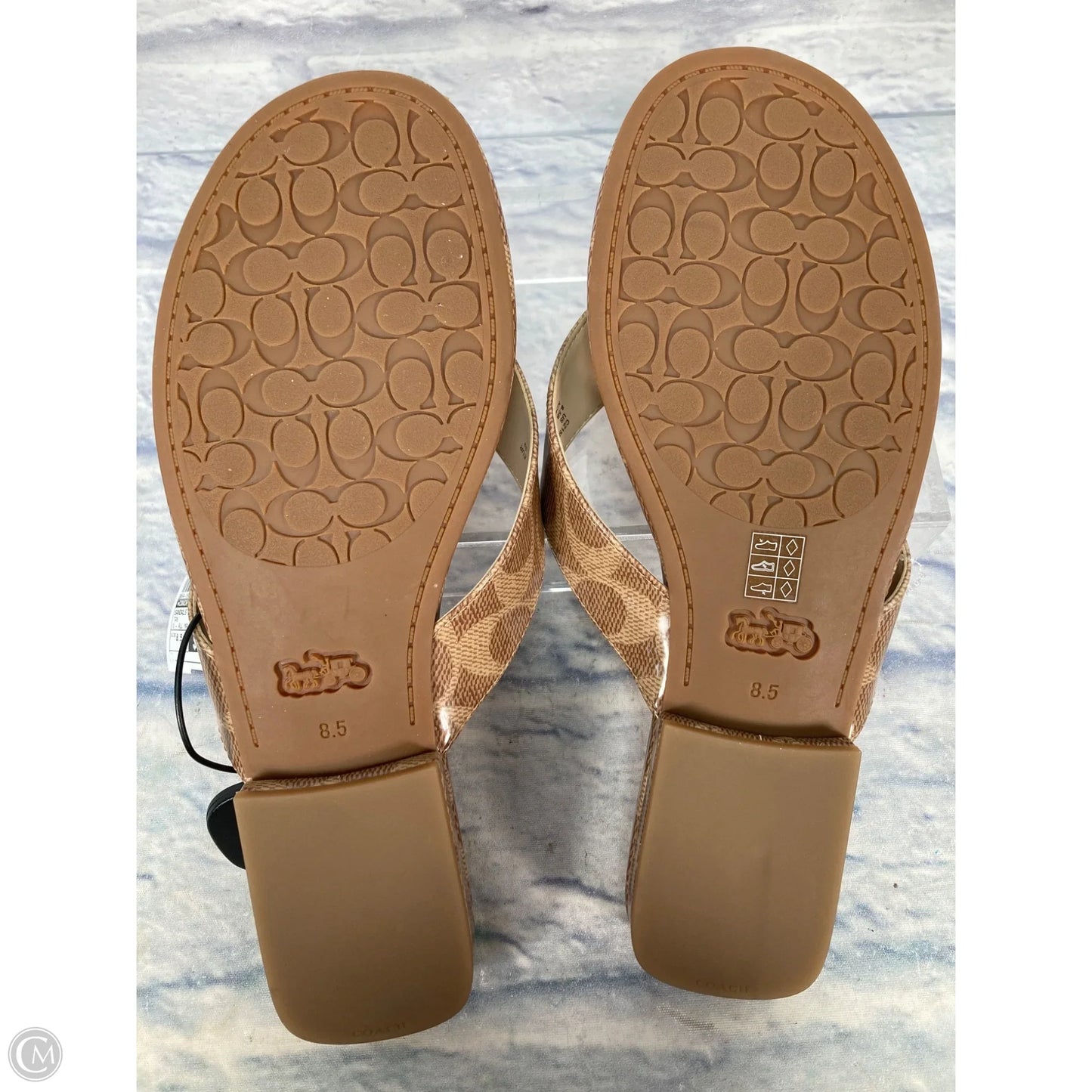 Sandals Designer By Coach In Tan, Size: 8.5