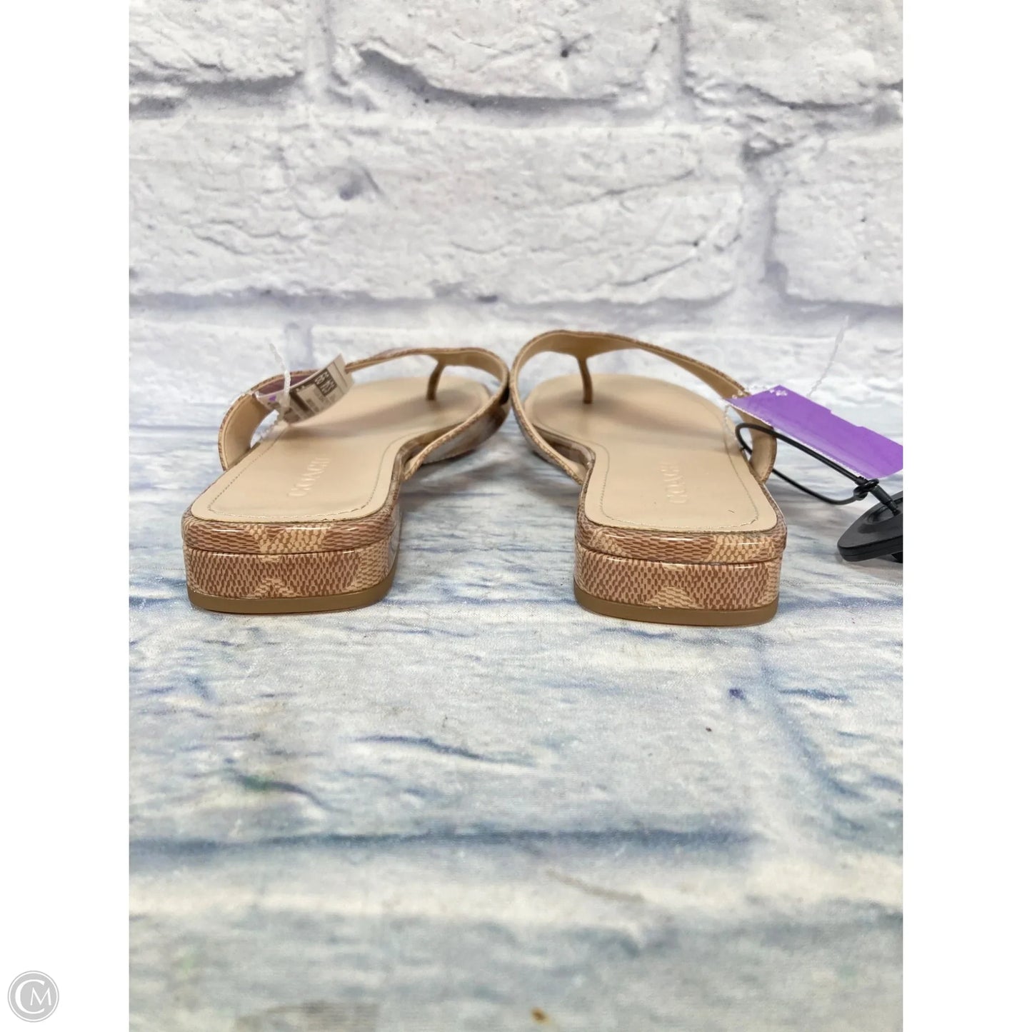 Sandals Designer By Coach In Tan, Size: 8.5