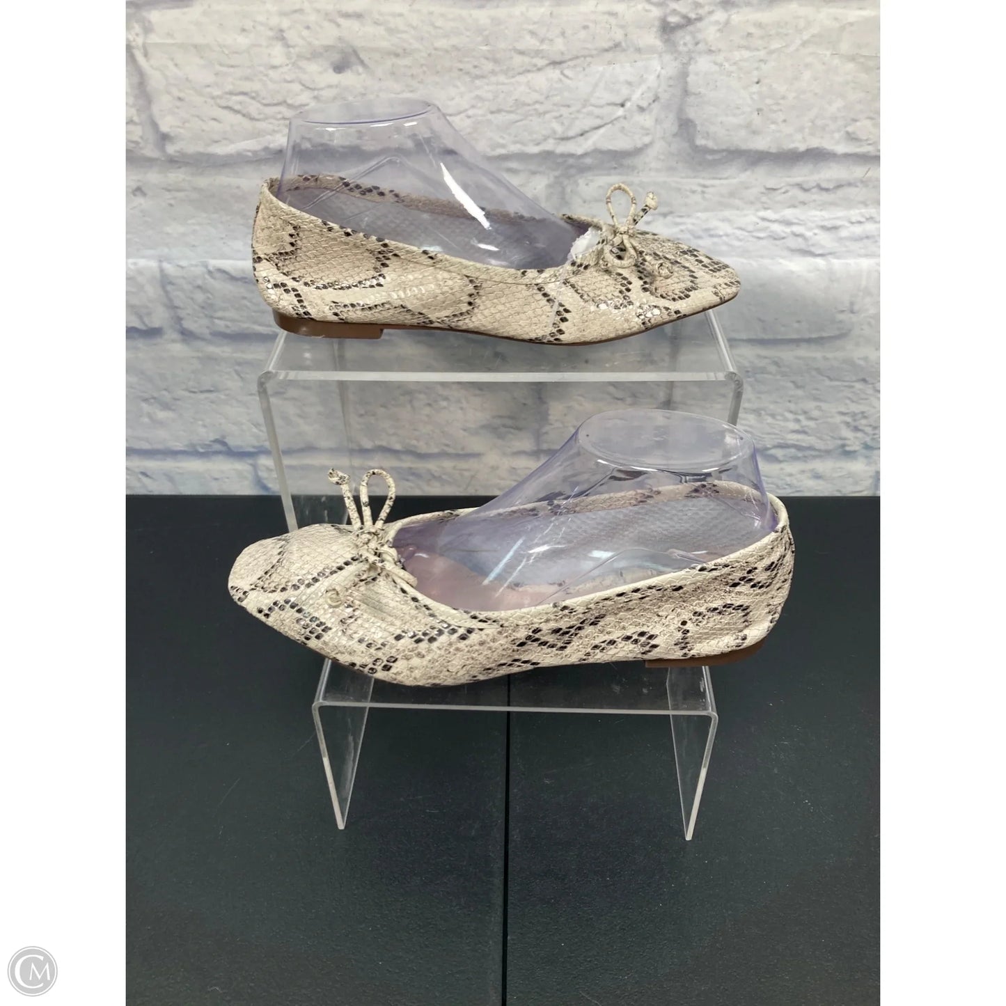 Shoes Flats By Schutz In Snakeskin Print, Size: 8