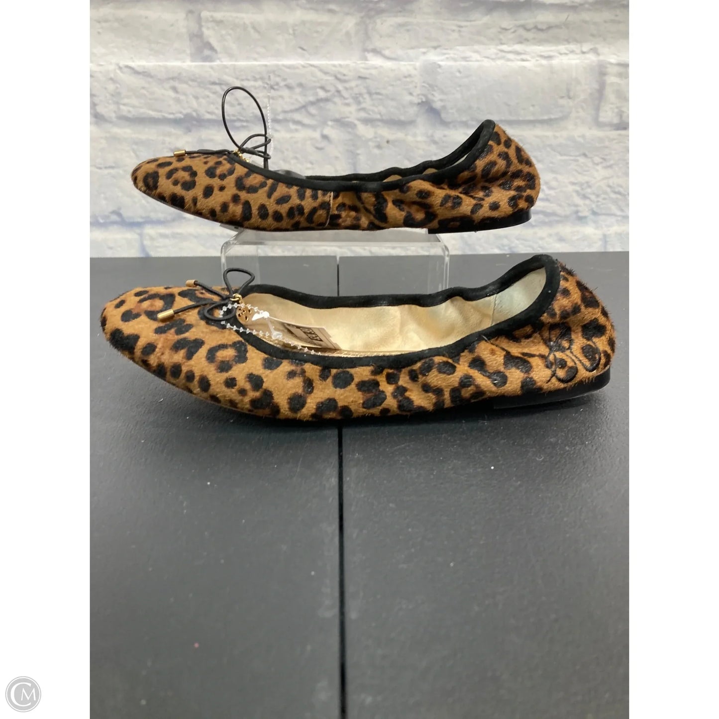 Shoes Flats By Sam Edelman In Animal Print, Size: 8.5
