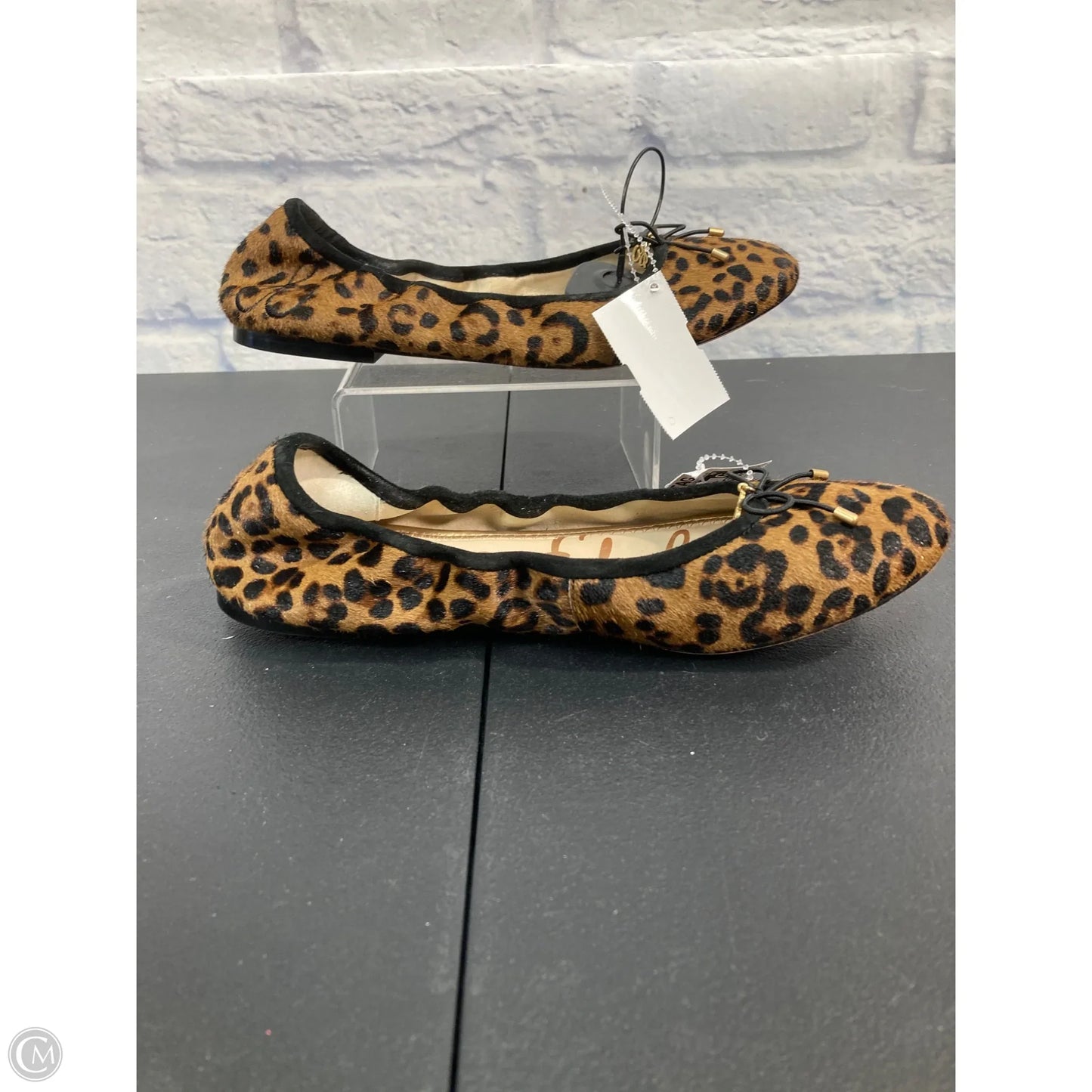 Shoes Flats By Sam Edelman In Animal Print, Size: 8.5