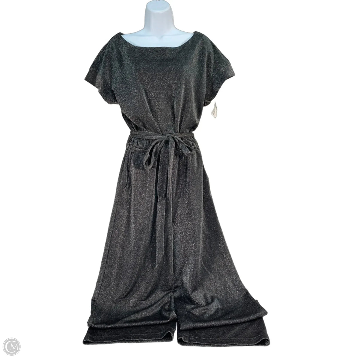 Jumpsuit By Evereve In Black & Silver, Size: S