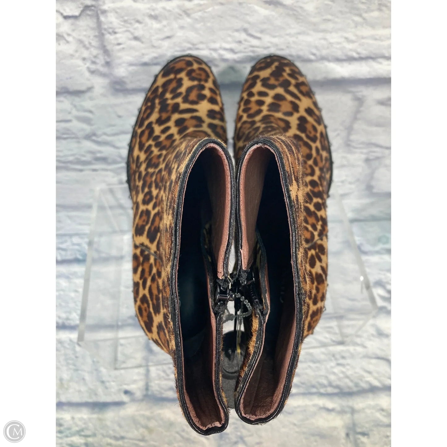 Boots Ankle Heels By Gianni Bini In Animal Print, Size: 10