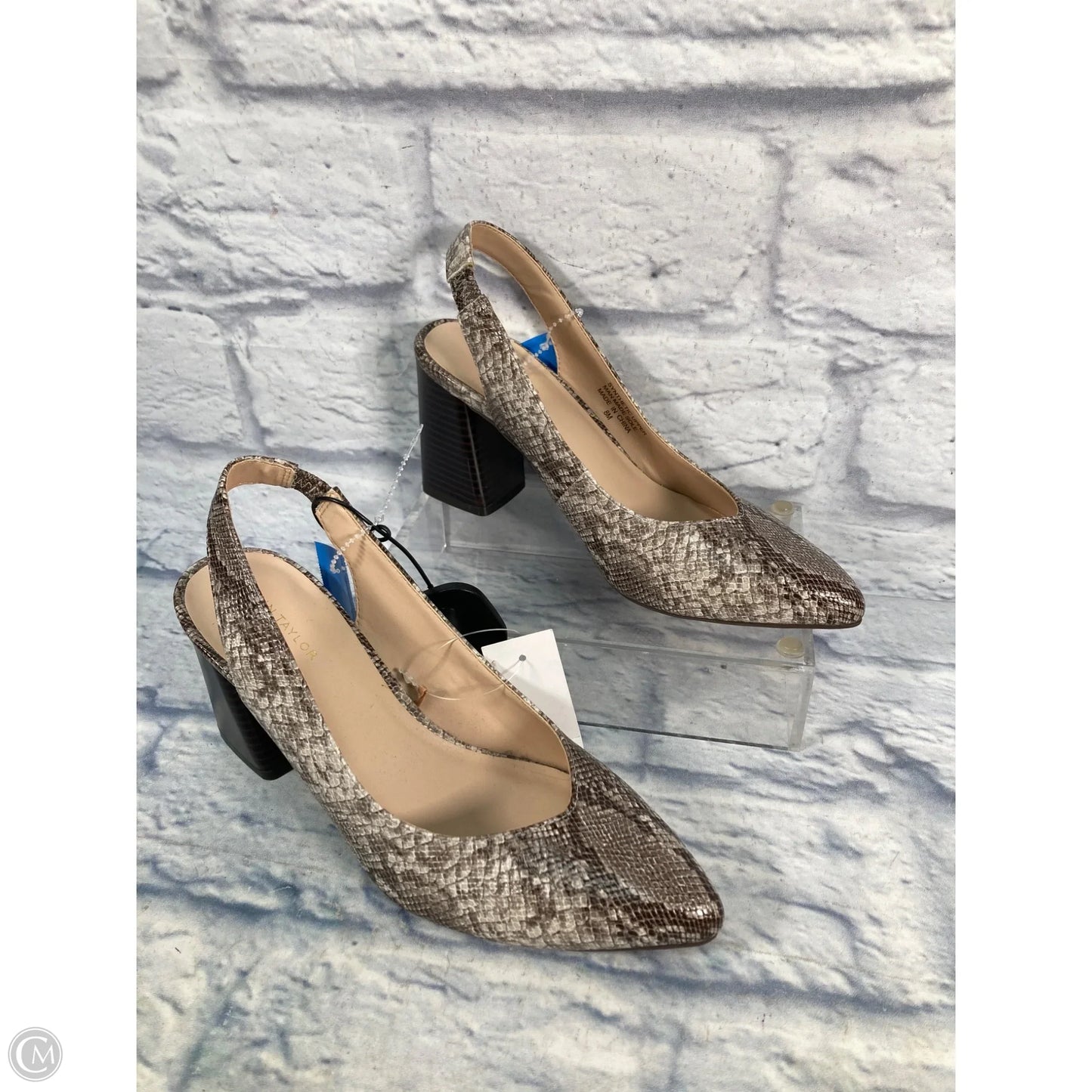 Shoes Heels Block By Ann Taylor In Snakeskin Print, Size: 8