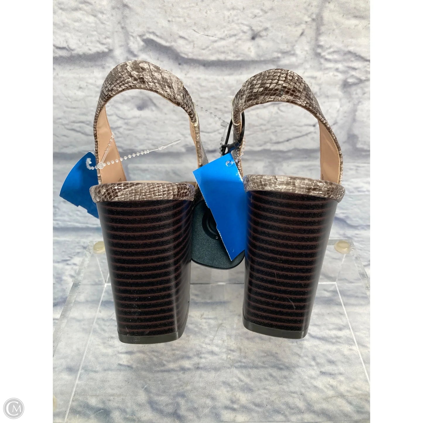 Shoes Heels Block By Ann Taylor In Snakeskin Print, Size: 8